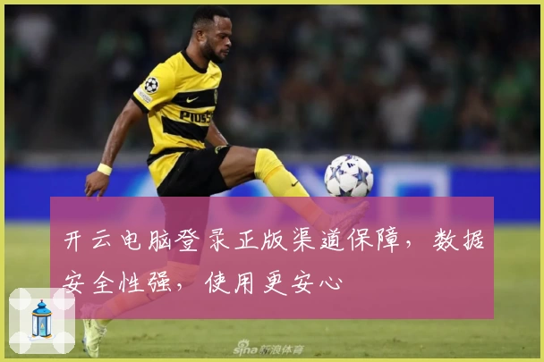 开云电脑登录正版渠道保障，数据安全性强，使用更安心