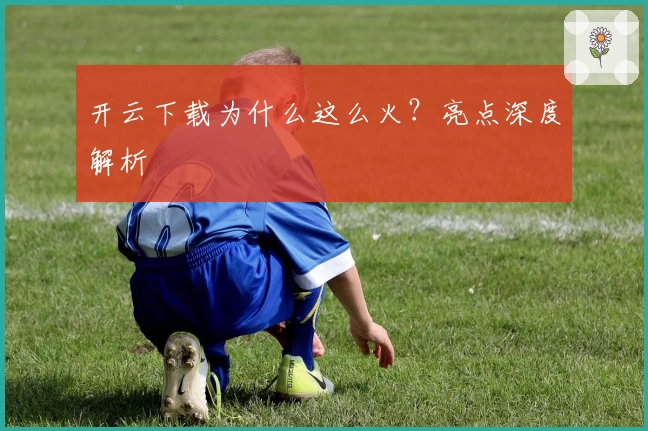 开云下载为什么这么火？亮点深度解析